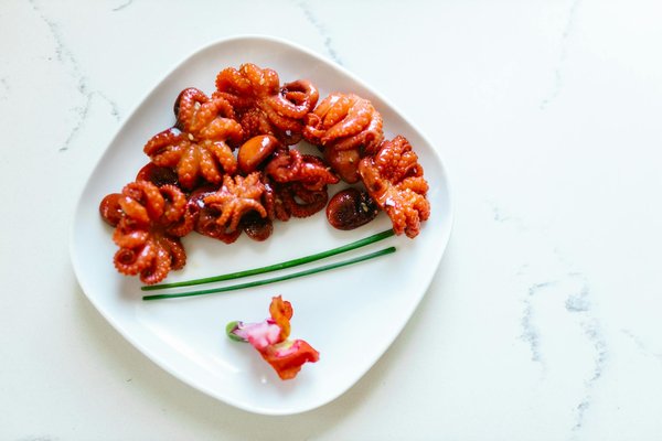 Quali sono le tecniche di addestramento per un cucciolo di Cocker Spaniel che ama scavare in giardino?